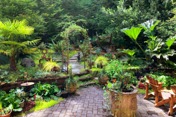 What Is The Difference Between Organic And Botanical Mosquito Control