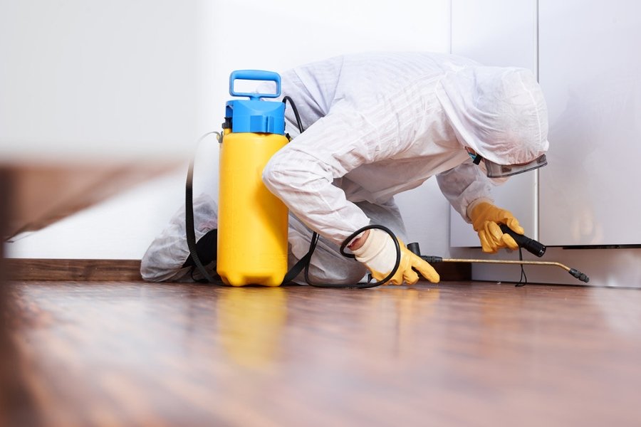 How to Choose the Perfect Flooring for Pest Prevention