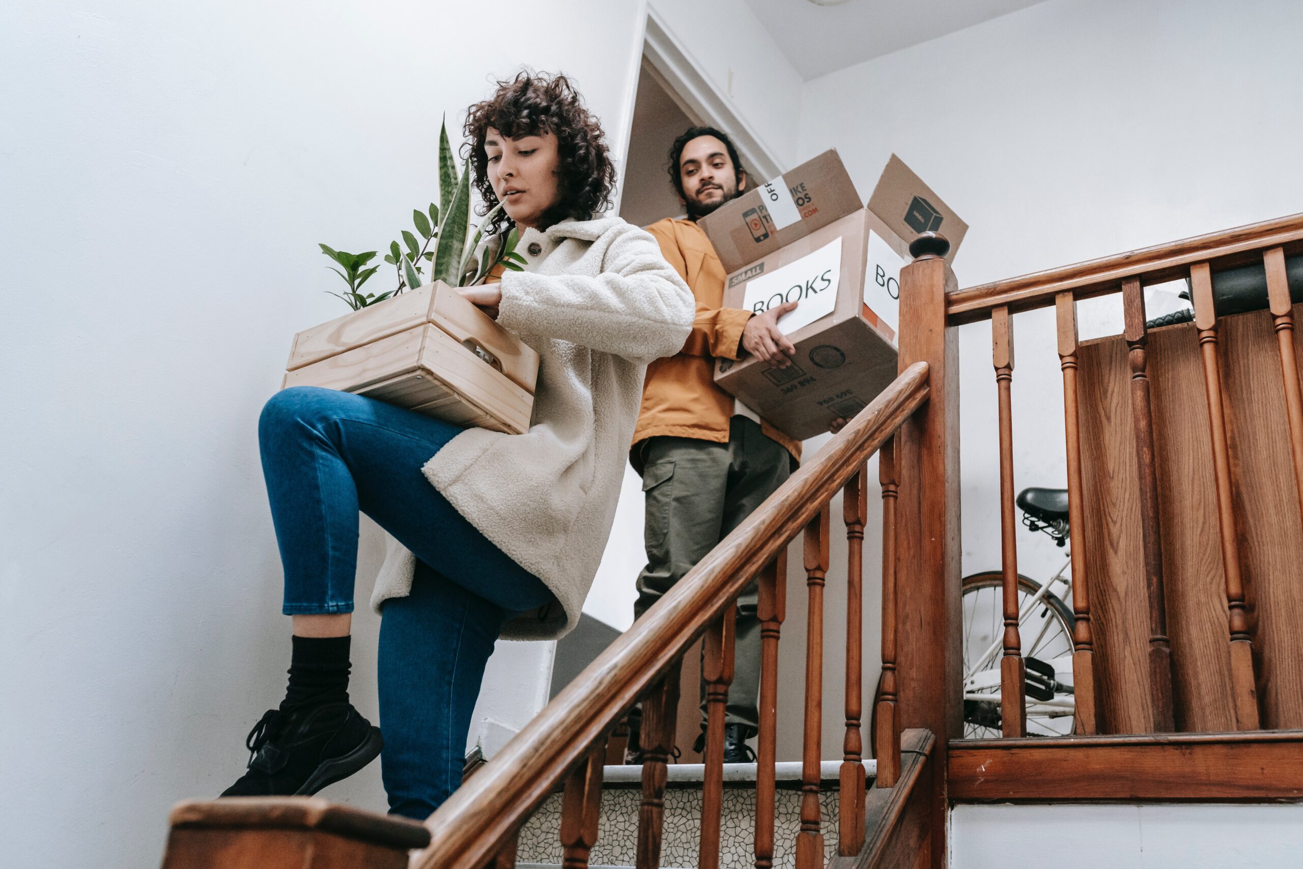 How to Pack Plants Effectively for Moving