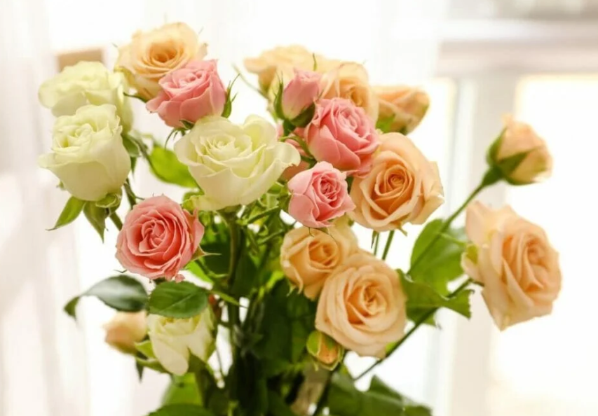 Different Types of Flowers for Birthday Celebration