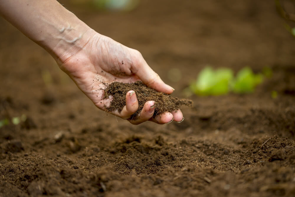 How to Enhance Your Garden Soil