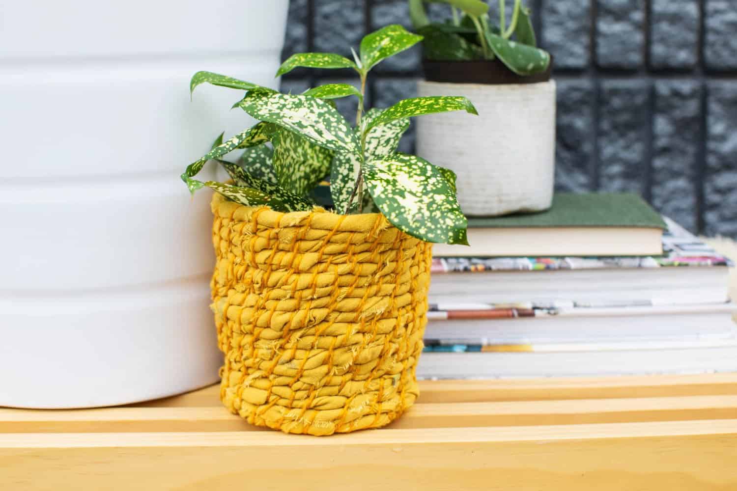 Crafting Stunning Flower Pots from Old Newspapers