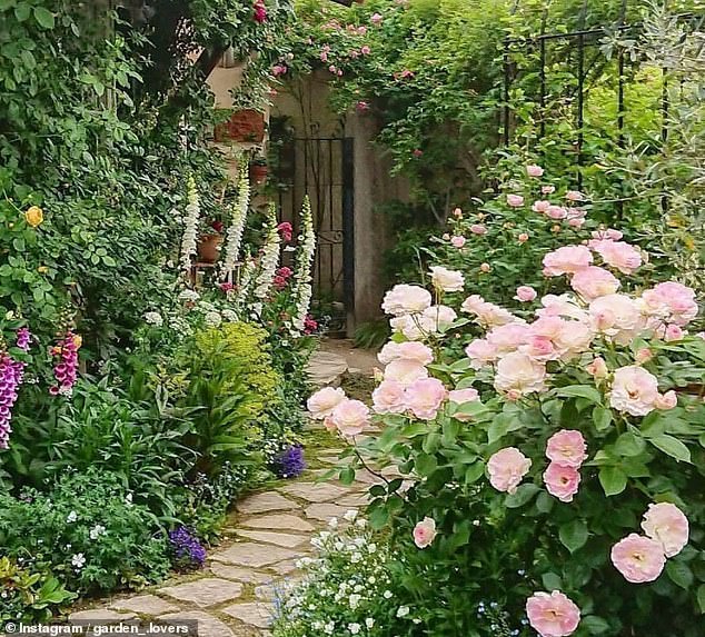 A Gardener’s Guide to Boosting Property Value with Stunning Landscaping in 2023