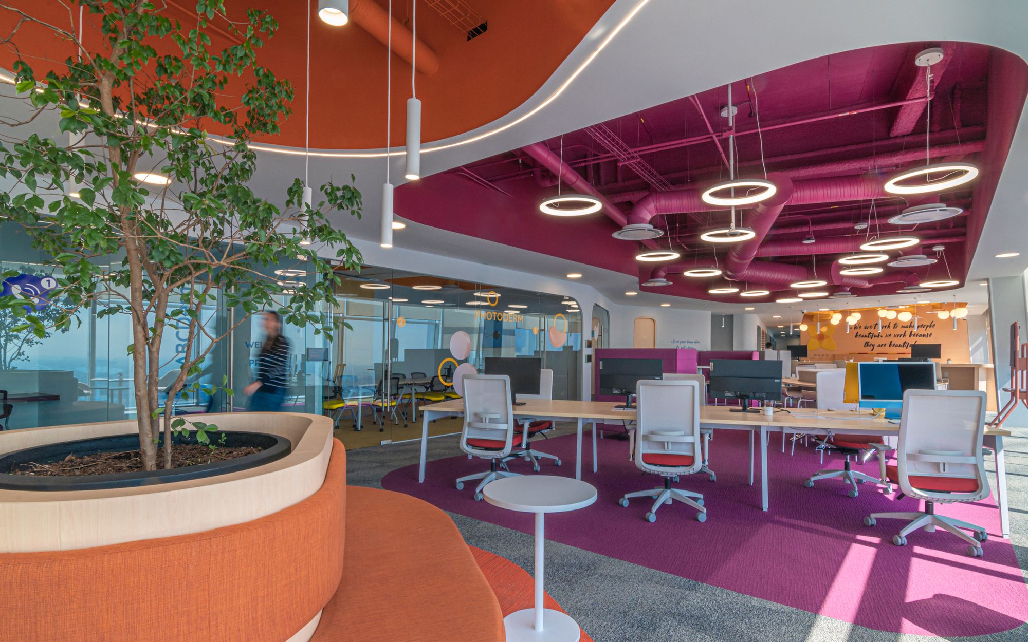 NAOS Offices – Mexico City