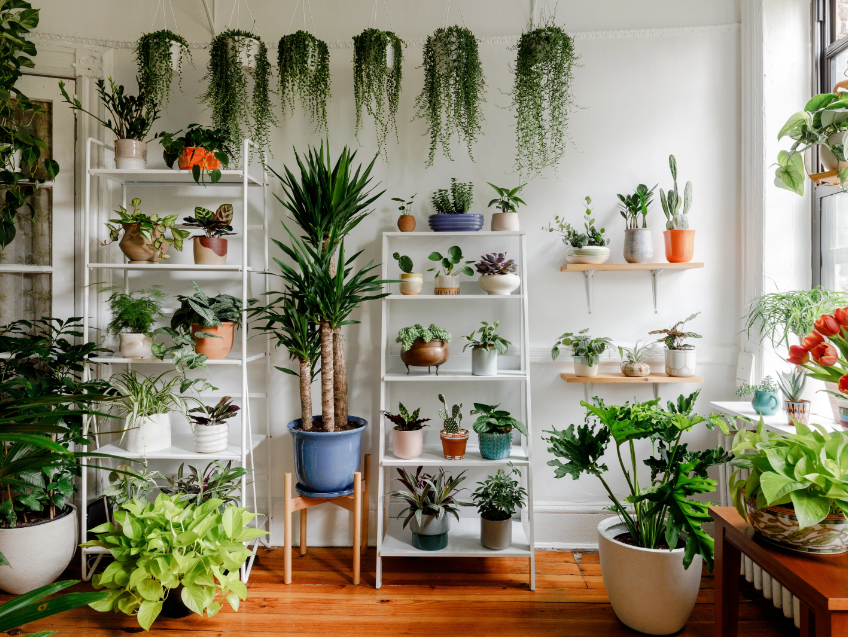 The Best Eco-Friendly Home Decor Ideas For 2023 - Tricity Property Searches eco-friendly home decor