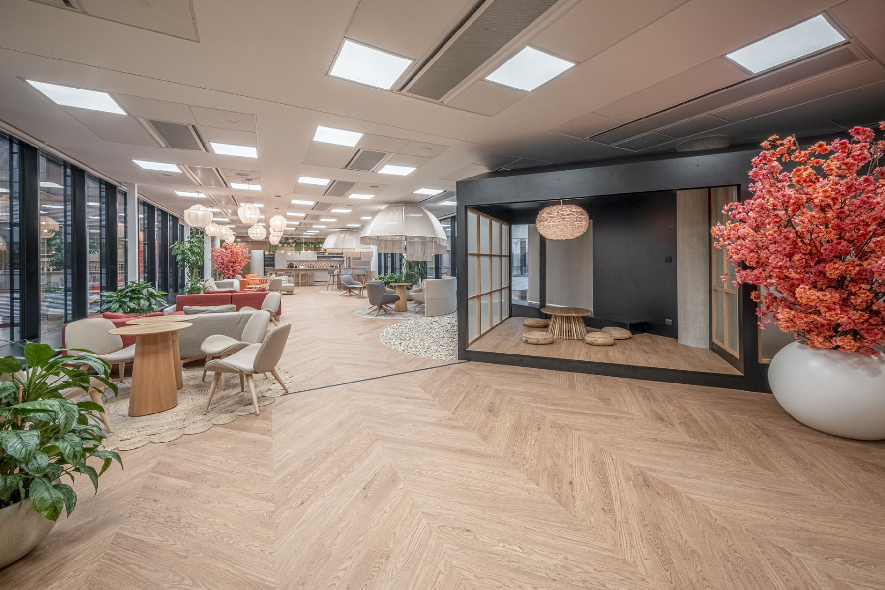 A Tour of LMC’s New Prague Office
