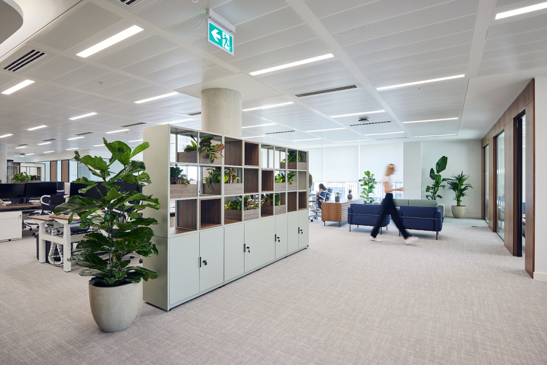 A Look Inside Napier Park’s New London Office