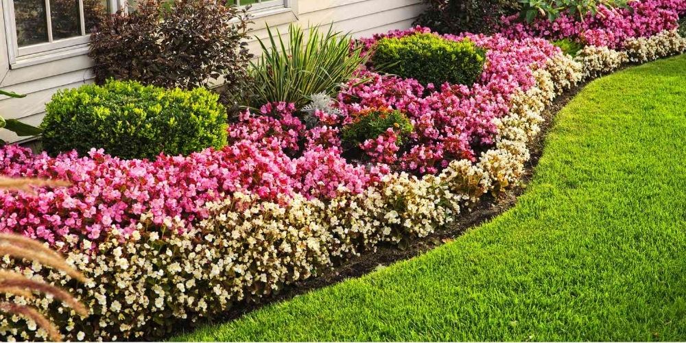 10 Garden Border Ideas To Secure Your Space Beautifully
