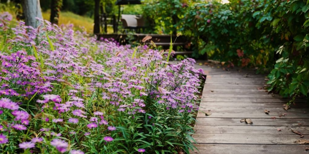 Flower Garden Ideas To Create A Beautiful Garden Area